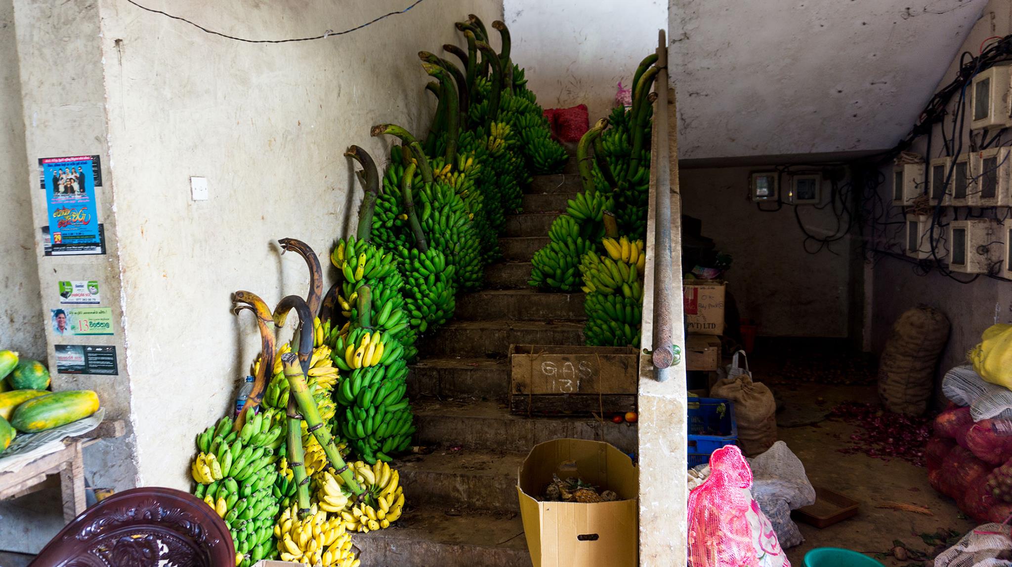 12604822_462913323898975_4505686347756329136_o