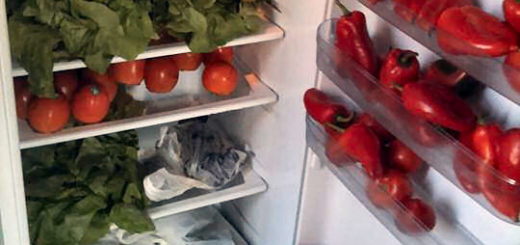 999297_187869258070051_337147137_n