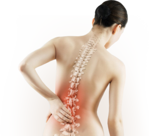 Plants-to-relieve-bone-pain